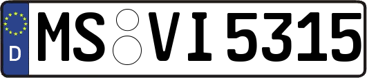 MS-VI5315