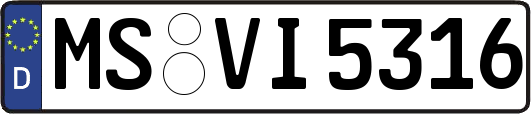 MS-VI5316