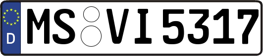 MS-VI5317