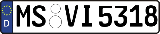 MS-VI5318