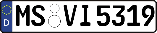 MS-VI5319