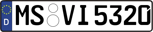 MS-VI5320