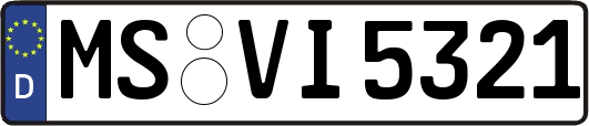 MS-VI5321