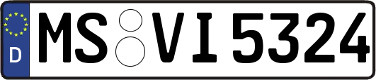 MS-VI5324