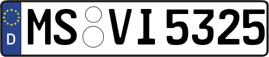 MS-VI5325