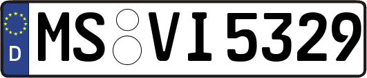 MS-VI5329