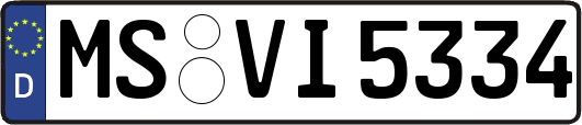 MS-VI5334