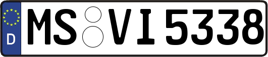 MS-VI5338