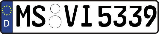 MS-VI5339