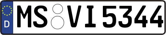 MS-VI5344