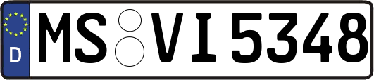 MS-VI5348
