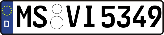 MS-VI5349