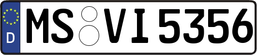 MS-VI5356