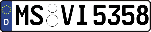 MS-VI5358