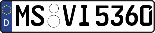 MS-VI5360