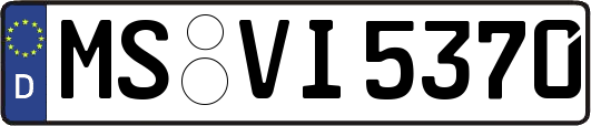 MS-VI5370