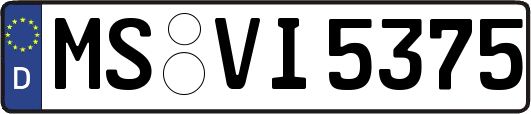 MS-VI5375