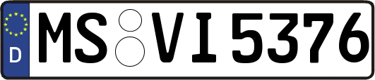 MS-VI5376