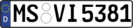 MS-VI5381