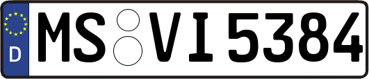 MS-VI5384