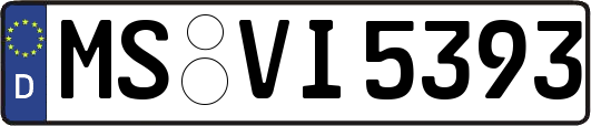 MS-VI5393