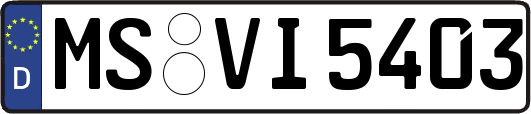 MS-VI5403