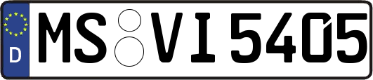 MS-VI5405