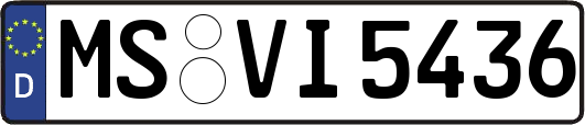 MS-VI5436
