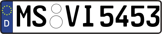 MS-VI5453