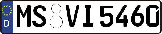 MS-VI5460
