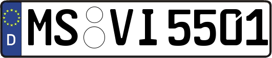 MS-VI5501