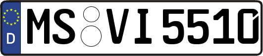MS-VI5510