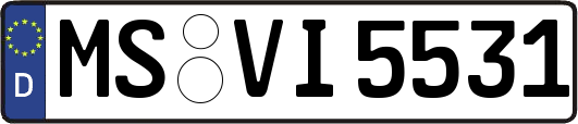 MS-VI5531