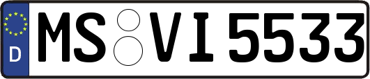 MS-VI5533