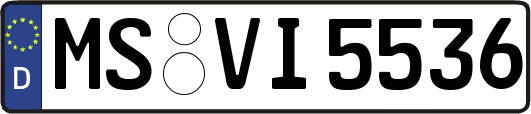 MS-VI5536