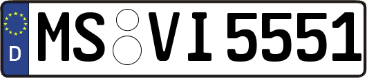 MS-VI5551