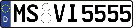 MS-VI5555