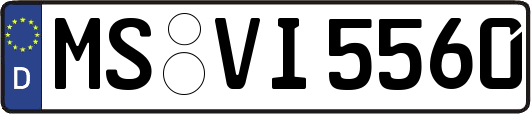 MS-VI5560