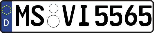 MS-VI5565