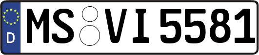 MS-VI5581