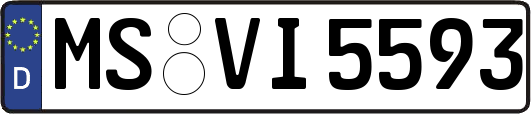 MS-VI5593
