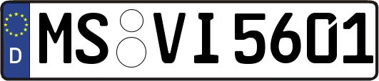 MS-VI5601