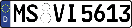 MS-VI5613