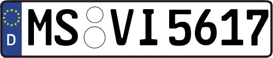 MS-VI5617