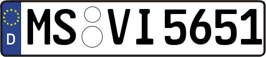 MS-VI5651