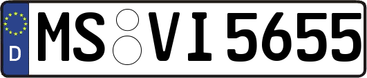 MS-VI5655