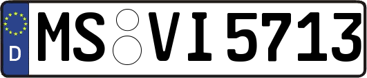 MS-VI5713