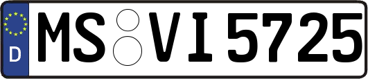 MS-VI5725