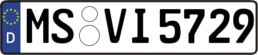 MS-VI5729