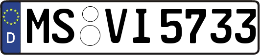 MS-VI5733